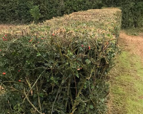 471674392_1138020091220853_2104355165388044685_n 471674392_1138020091220853_2104355165388044685_n